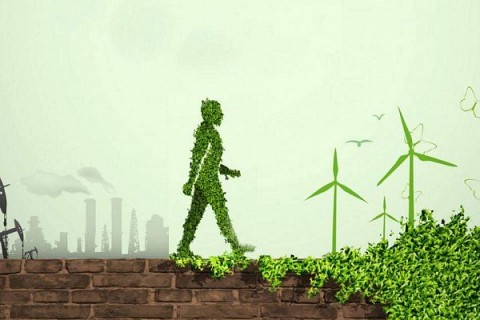 Los retos en el camino hacia la descarbonización global