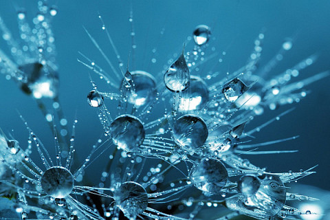 Tecnología de vanguardia para la generación de agua