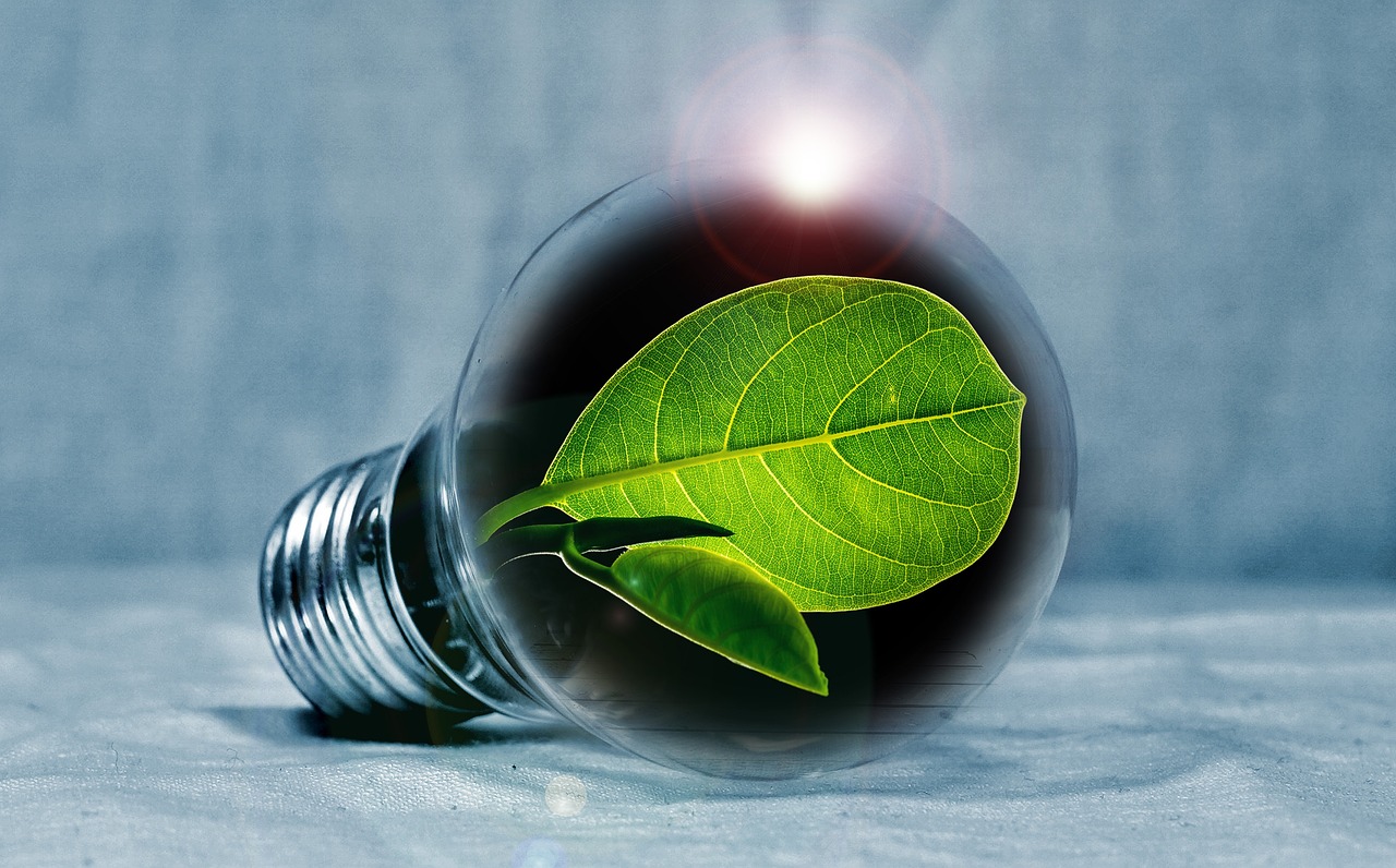 light bulb 